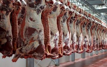 صدور هیچ مجوزی برای کشتار گوشت اسب و الاغ تایید نشده است