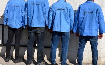 باند سارقان باغات زنجان با کشف ۴۵ فقره سرقت متلاشی شد
