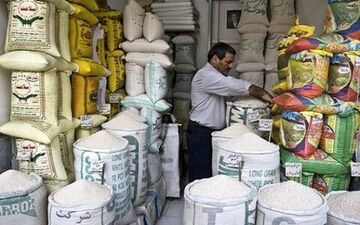 قیمت جدید برنج در بازار/ برنج پاکستانی چند؟