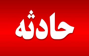  چرخ گوشت پسر بچه 2 ساله را بلعید!