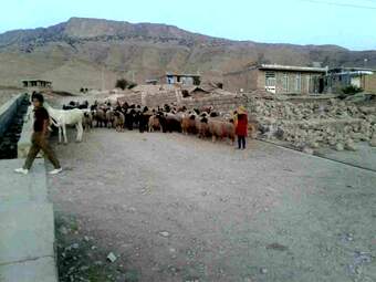 photo_1 (21)