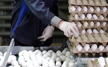 افزایش چشمگیر قیمت تخم‌مرغ؛ نیمرو و املت به غذای لوکس تبدیل شدند