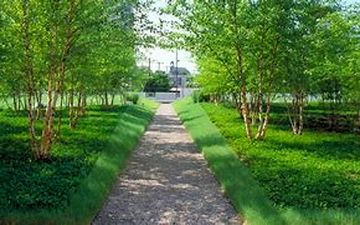 بوستان‌های جدیدی درحال احداث است
