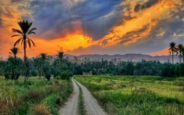 گردشگران خارجی کدام استانهای ایران را برای سفر انتخاب میکنند؟ 