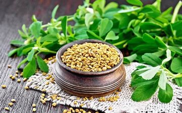 دمنوش این گیاه خوش‌عطر مو را تقویت و التهاب و چربی خون را پایین می‌آورد