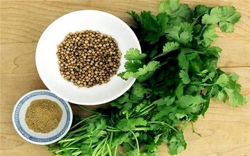 گیاهی خارق العاده برای کاهش قند خون و ضد دیابت