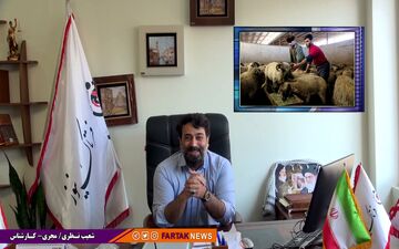 سناریو جدید مدیرعامل دامداران کشور برای افزایش قیمت گوشت قرمز 