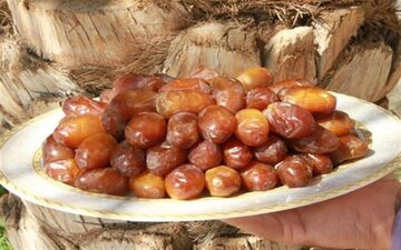  صادرات خرما ممنوع شد