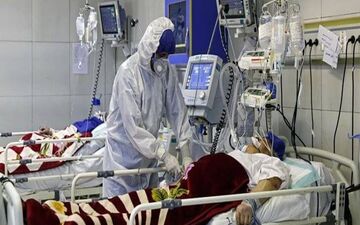 اوج گیری کرونا در بوشهر با ابتلای 79 مورد جدید