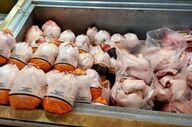 شناسایی ۲ هزار تن مرغ تاریخ گذشته در تهران