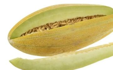 نقش باور نکردنی خربزه در تنظیم فشار خون