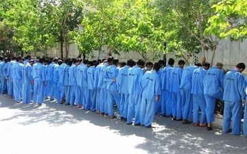 دستگیری ۷۷ سارق در گیلانغرب

