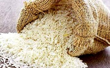 عوارض جانبی جانبی خوردن بیش از حد برنج چیست؟ از مشکلات گوارشی تامسمومیت غذایی!