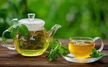 برای سلامت روده از این گیاه غافل نشوید!