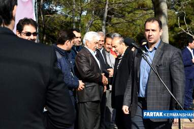 امیر دولتشاهی