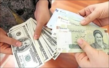 ۱۰۰۰۰ شرکت، ارز دولتی گرفتند!