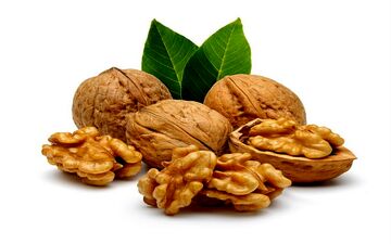 بعد از خوردن گردو این خواص نصیب بدن تان می شود
