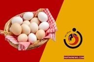 قیمت تخم‌مرغ امروز دوشنبه ۲۱ اردیبهشت ۱۴۰۵ + جدول کامل

