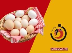 مصرف تخم‌مرغ چه فواید و عوارضی دارد؟ روزی چند عدد بخوریم؟ 