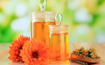 گیاهی که در یک چشم به هم زدن سرما خوردگیتان را خوب می کند