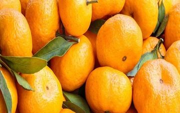 آشنایی بیشتر با خواص درمانی نارنگی 