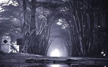 ۳۰+ مکان های ترسناک ایران | تجربه‌ای که هیچوقت فراموش نخواهید کرد