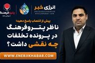 پیش از انتصاب پاسخ دهید؛ ناظر پتروفرهنگ در پرونده تخلفات چه نقشی داشت؟