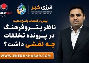 پیش از انتصاب پاسخ دهید؛ ناظر پتروفرهنگ در پرونده تخلفات چه نقشی داشت؟
