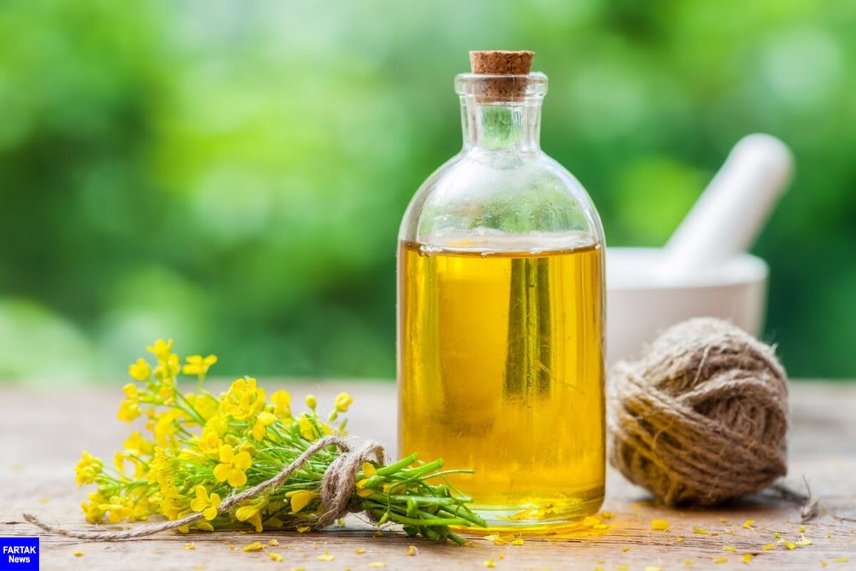 فواید روغن کانولا برای سلامت