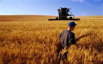 مانعی برای صادرات محصولات کشاورزی