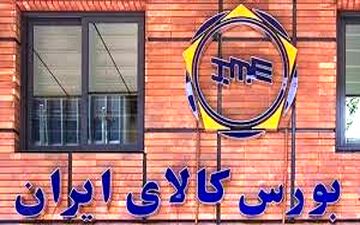  کاهش یارانه پرداختی دولت با اجرای سیاست قیمت تضمینی در بورس کالا