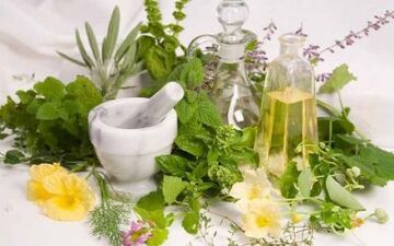 تسهیلات جدید برای صادرات گیاهان دارویی 