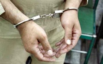 250 سرقت با عروسک پاندا +عکس