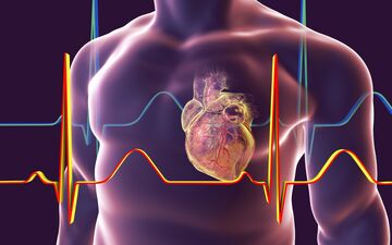 دلایل و علائم بزرگ شدن قلب | این 3 عامل موجب بزرگ شدن قلب می‌شوند