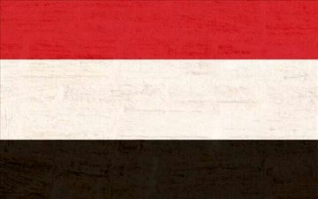 
سفر نخست‌وزیر دولت مستعفی یمن به ابوظبی
