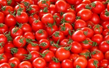 چرا قیمت گوجه فرنگی بالا رفت؟