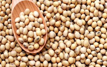 سویا، خواص و ارزش غذایی آن
