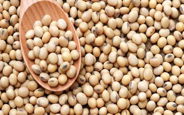 سویا، خواص و ارزش غذایی آن
