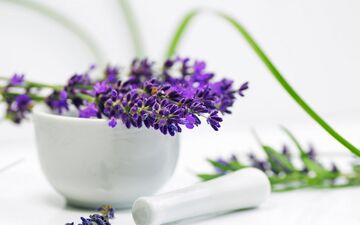 تنظیم هورمانوهای جنسی زنان و مردان با این گیاهان