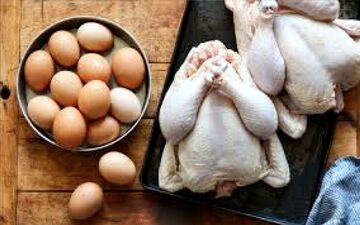 قیمت مرغ و تخم‌مرغ امروز ۱۴ خرداد ۱۴۰۵؛ بازار در انتظار ثبات
