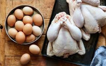 قیمت مرغ و تخم‌مرغ امروز ۱۴ خرداد ۱۴۰۵؛ بازار در انتظار ثبات