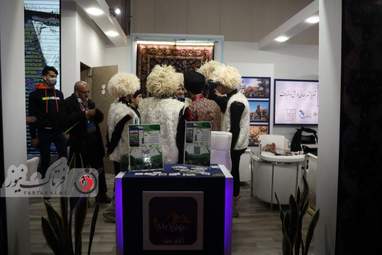 نمایشگاه گردشگری