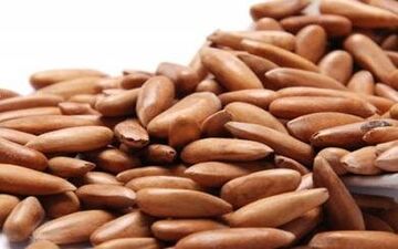 تقویت سیستم ایمنی بدن با "چلغوز"
