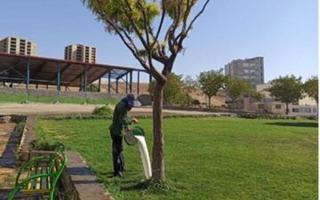 
آغاز عملیات مبارزه با بیماری فوزاریوم درختان اقاقیا در شهر کرمانشاه برای دومین سال پیاپی