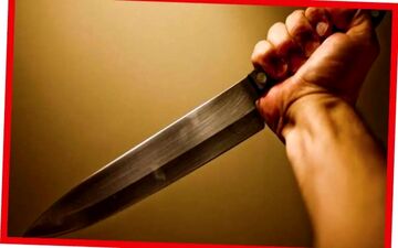 حمله وحشتناک سارق قمه به دست، به مادر و دختر در خانه ویلایی
