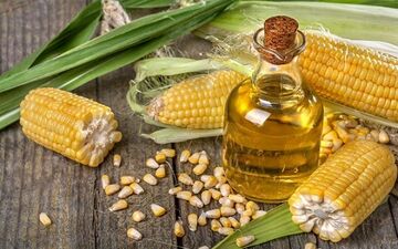 با فواید شگفت انگیز ذرت آشنا شوید