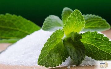 این گیاه یک جایگزین سالم برای قند مصنوعی
