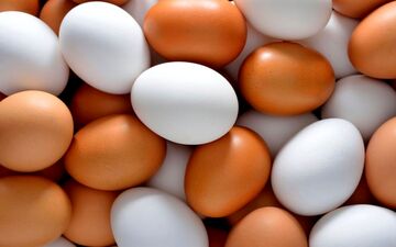 قیمت جدید تخم مرغ بسته بندی 