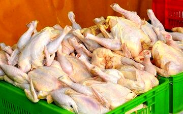  قیمت نهایی مرغ برای مصرف کننده در کرمان خارج از عرف است