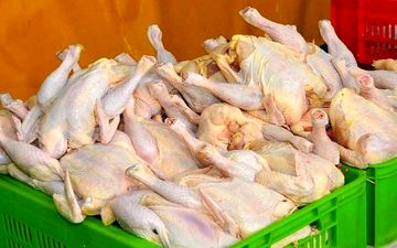  قیمت نهایی مرغ برای مصرف کننده در کرمان خارج از عرف است